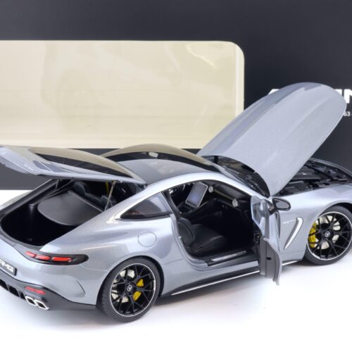 1:18 NZG Mercedes AMG GT 63 4Matic+ selenite grey GTC192 DEALER VERSION